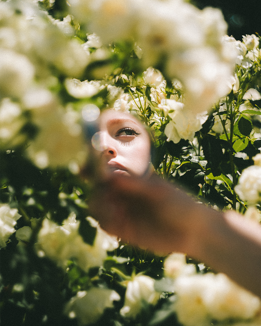 Creative Editorial Portraits at a Rose Garden in Portland — photograph 11 of 20